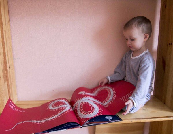 Обзор детской книги Кости и скелеты Обзор детской книги Кости и скелеты