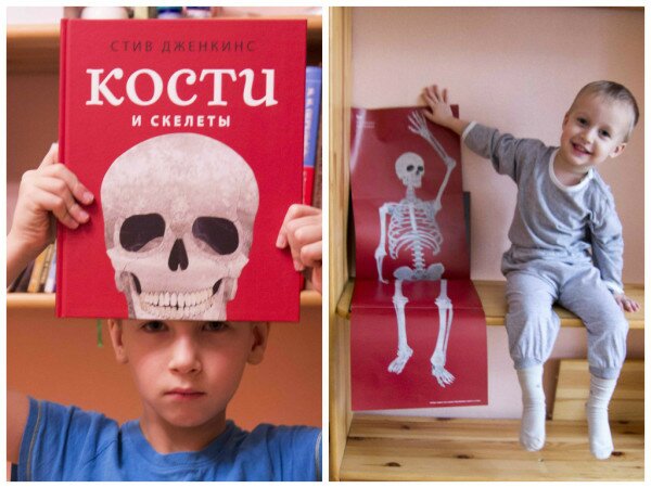 Обзор детской книги Кости и скелеты Обзор детской книги Кости и скелеты