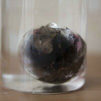 Серебряное яйцо