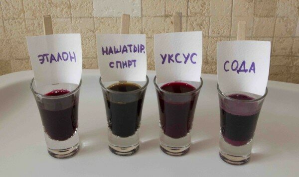 реакция свекольного сока химические опыты дома