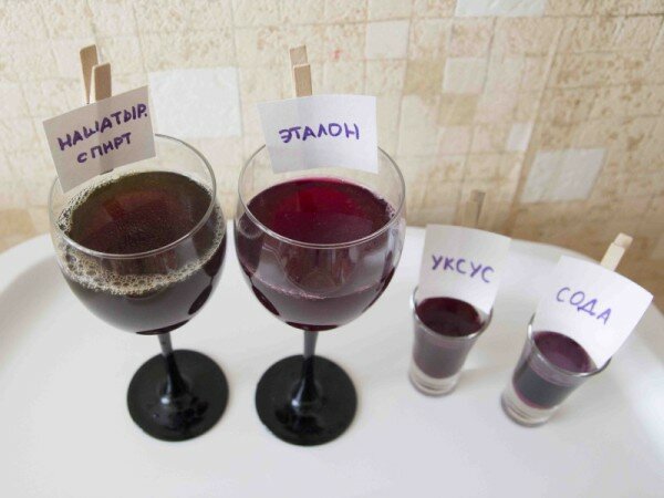 взаимодействие свекольного сока с веществами свекольный сок