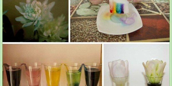 Детские опыты с водой, или может ли вода подниматься вверх