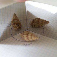 опыты со светом Опыты с зеркалами