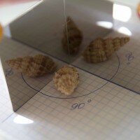 отражение в зеркалах IMG_2372