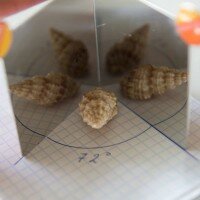 отражение в зеркалах опыты с зеркалами