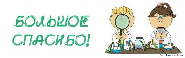 Большое спасибо Большое спасибо