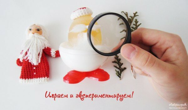 Опыты с яйцом Опыты с уксусом и яйцом