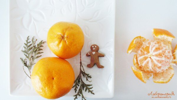 Новогодние опыты