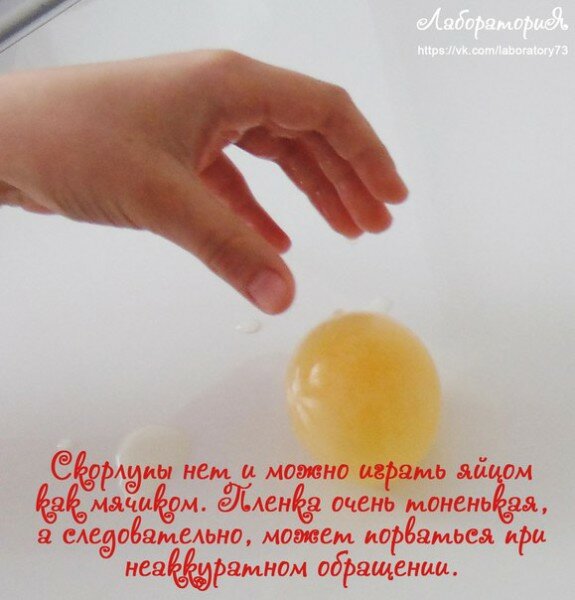 Опыты с яйцом Опыты с уксусом и яйцом