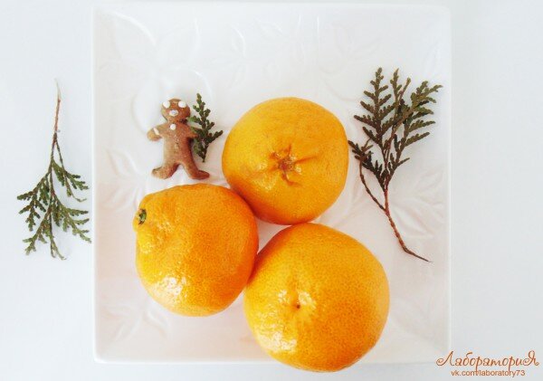 Новогодние опыты