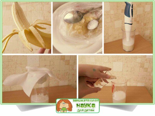 ДНК из банана