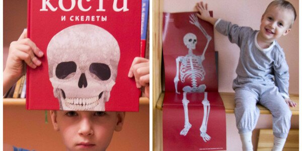 Обзор детской книги «Кости и скелеты»