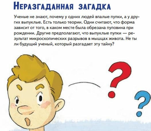 Факты о пупке