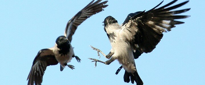 Когда наступает весна