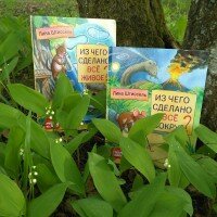 Из чего сделано все